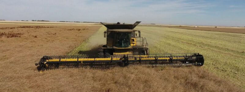 canola harvester